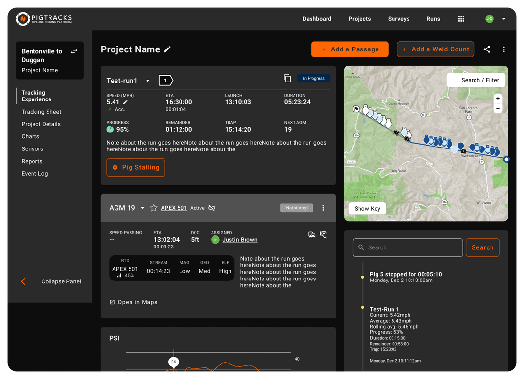 Pigtracks explanations interface