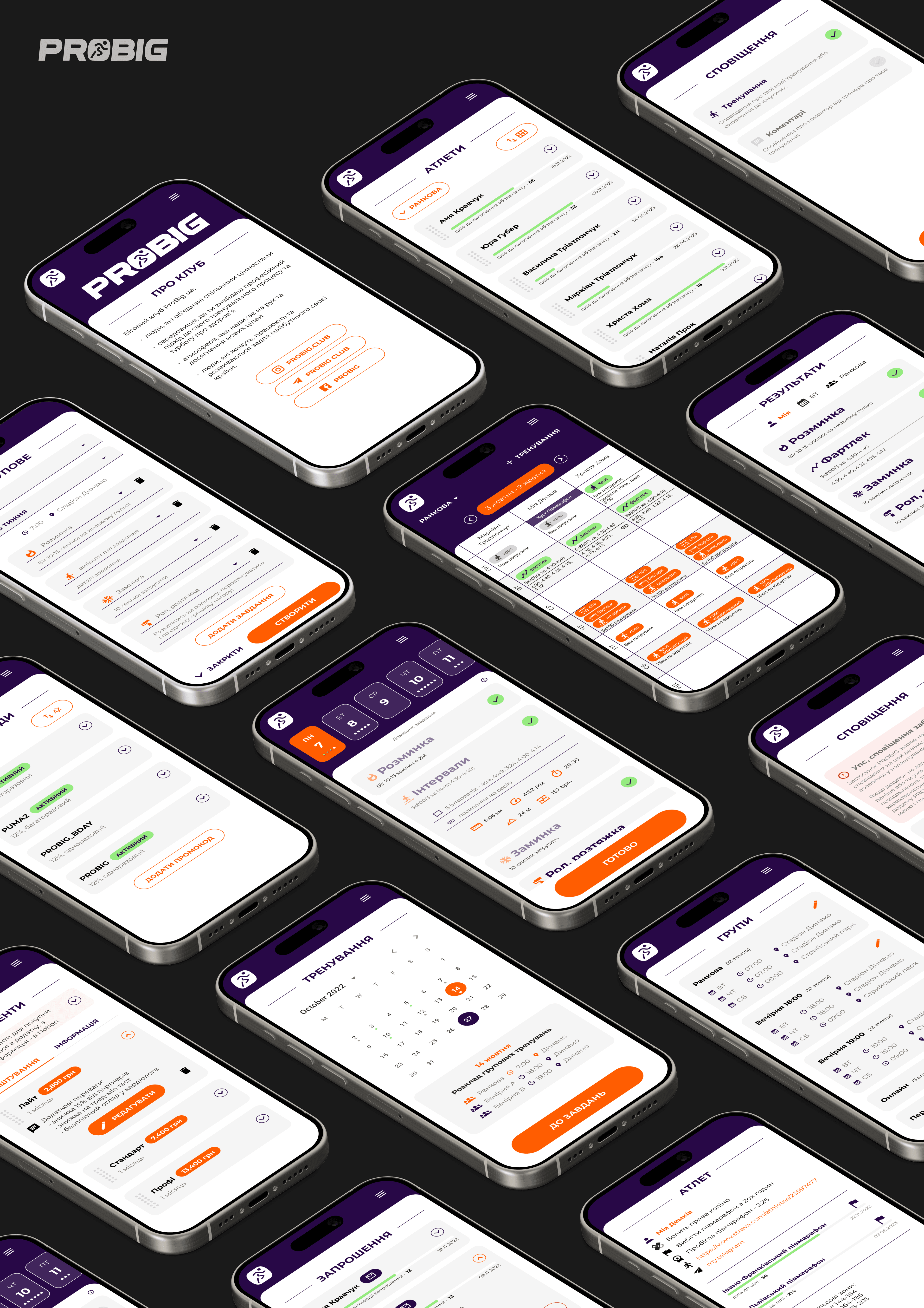 Probig interface showcase