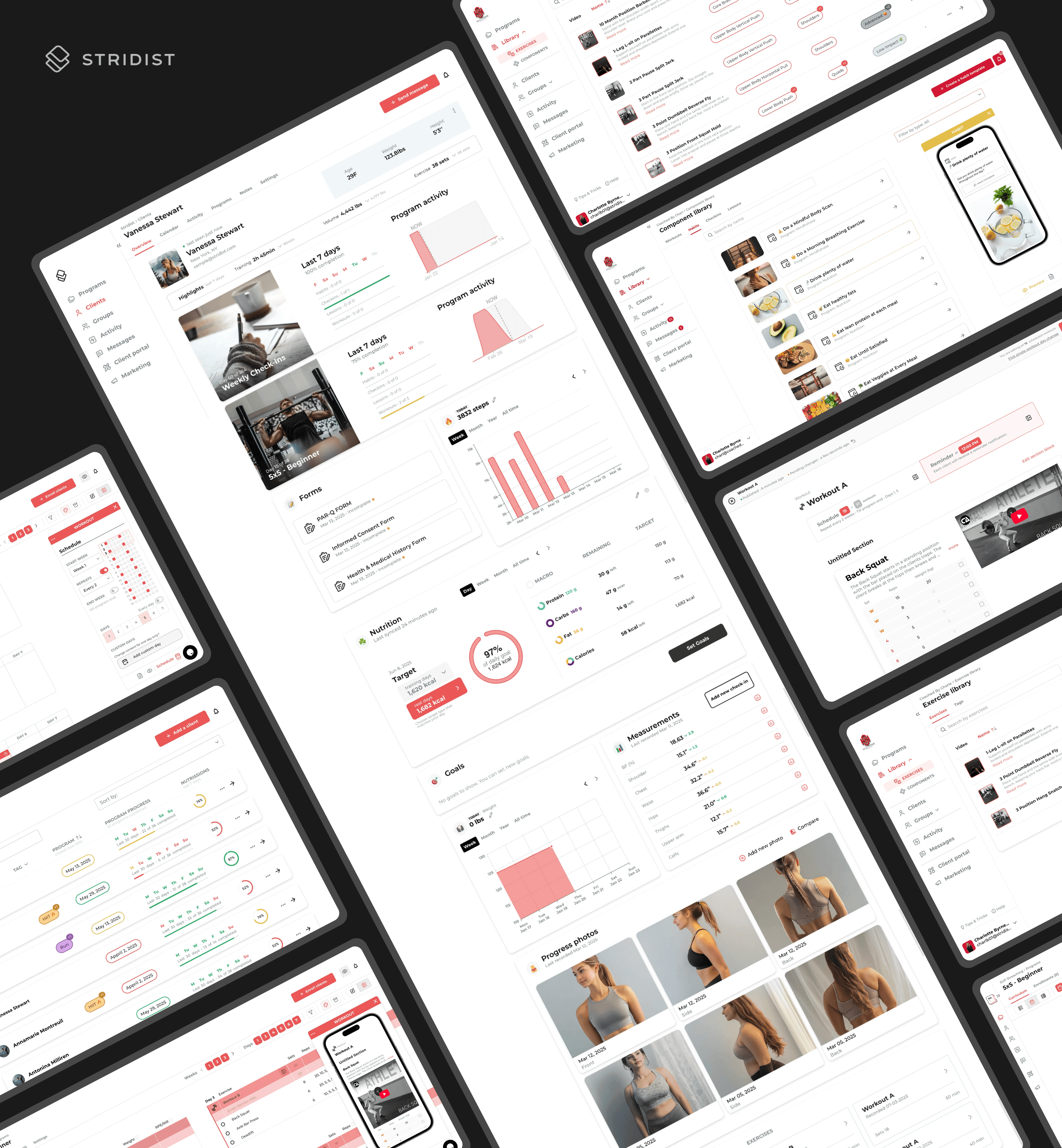 Stridist interface showcase
